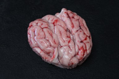 cervelle de porc.jpg